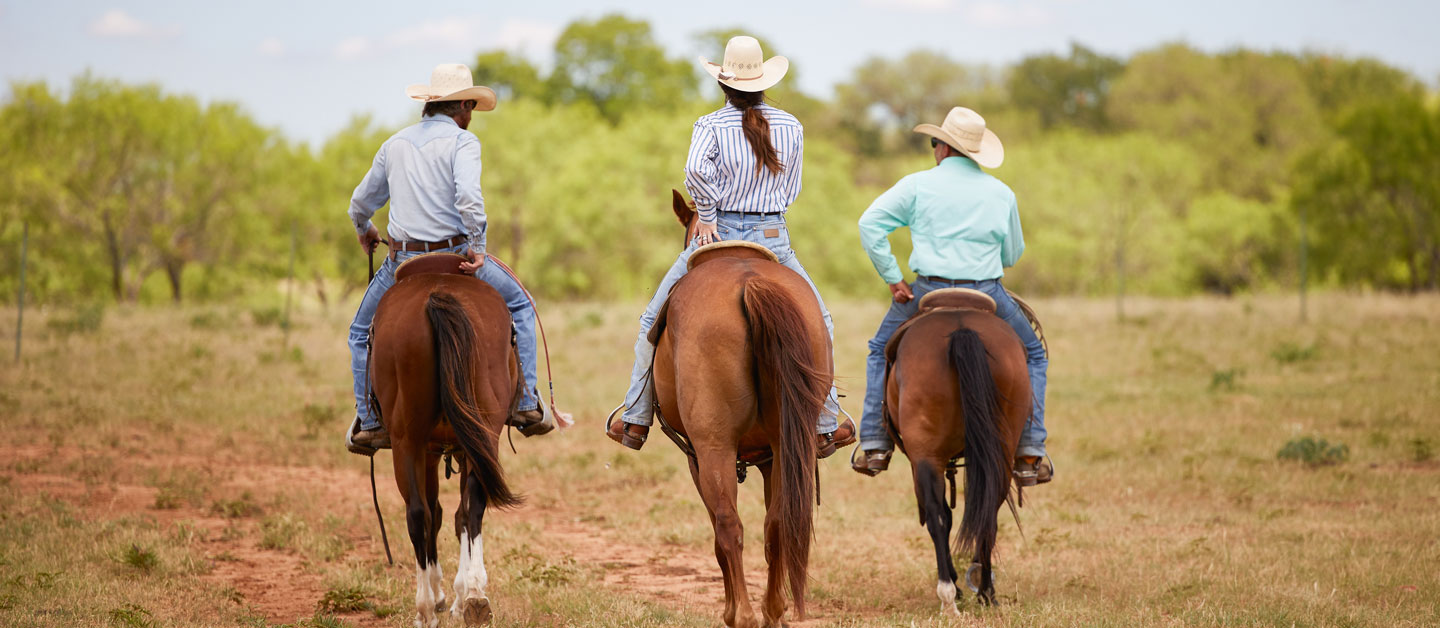 Two cowboys and a cowgirl, Jenna Paulette, riding off into the sunset.